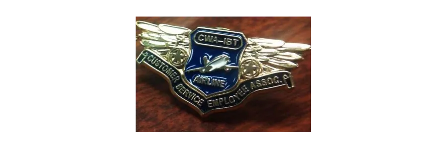 photo of cwa wings lapel pin